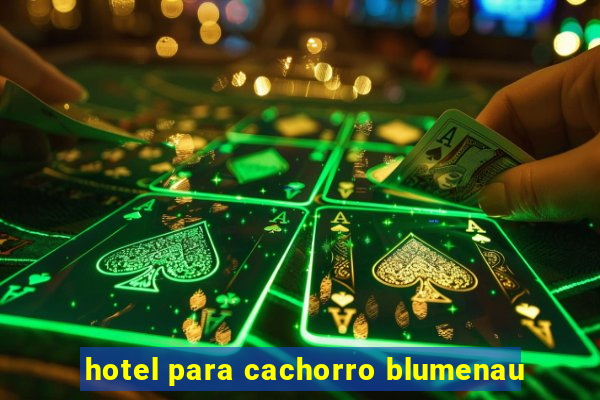 hotel para cachorro blumenau